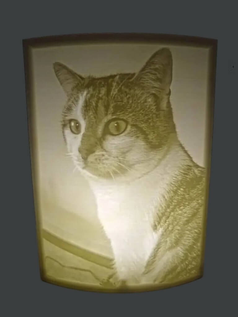 Lampe incurvée lithophanie d'un chat format portrait