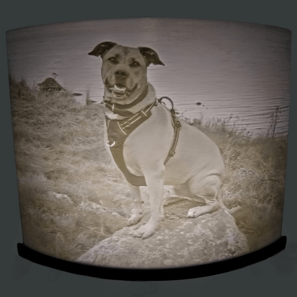 Lampe incurvée de 20 cm lithophanie d'un chien sur une pierre