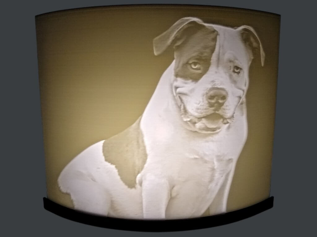 Lampe incurvée de 20 cm lithophanie d'un chien